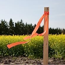 Greenes Fence 4 Ft. Garden Stakes (50 Pack)