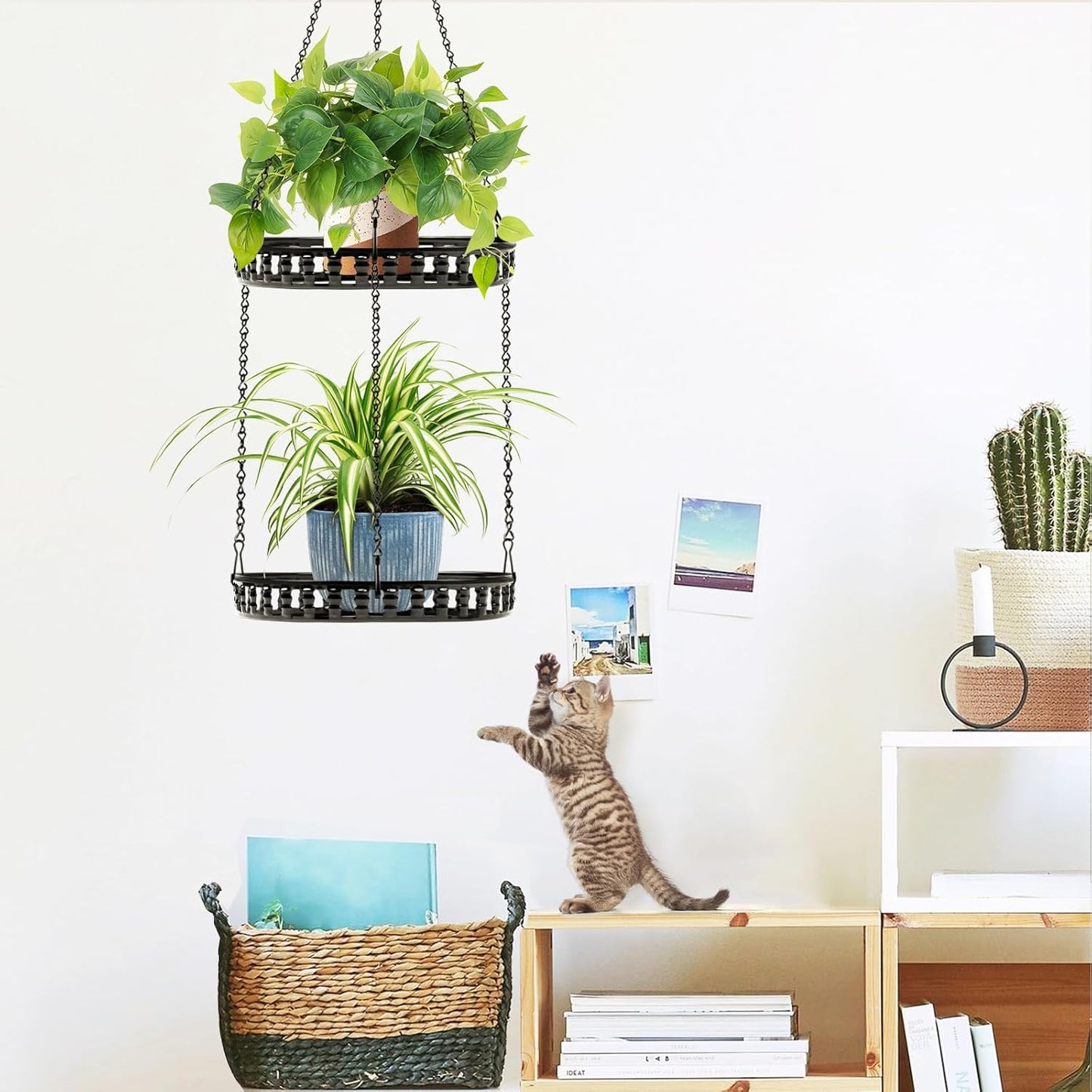 Plant Hanger Indoor Outdoor, 2 Tier Hanging Planter Hanging Plant Shelf, Metal Hanging Plant Holder for Indoor Outdoor Plants