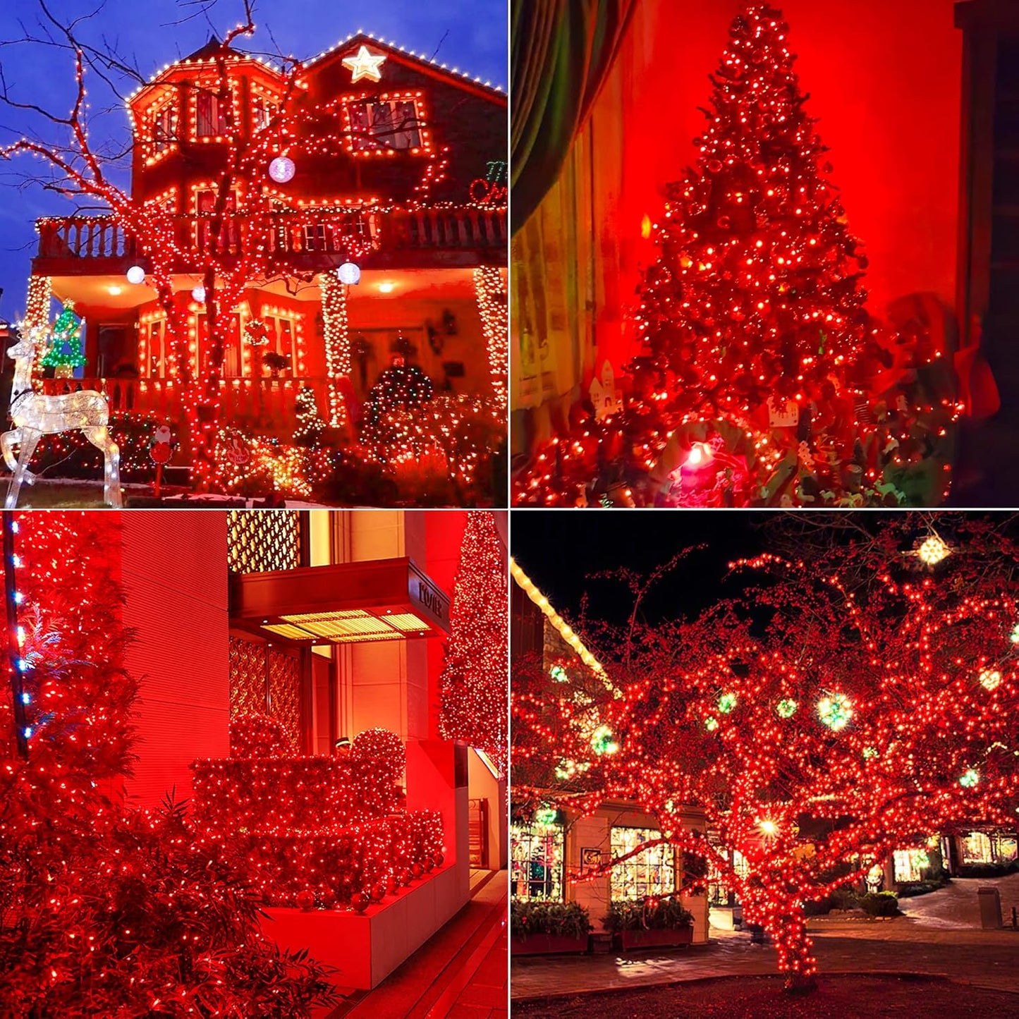 Hopolon 50 Red Christmas Lights, 2PACK Green Wire 13 Feet Long String Lights Set for Outdoor Indoor Décor, Valentines Day, Wedding, Halloween, Christmas Trees, Holiday Lighting Decor(2pcs Red)