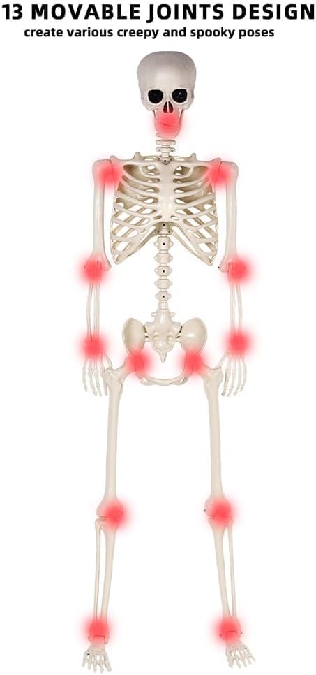 36" Halloween Skeleton - 3 ft Life Size Human Skeleton with Full Body Posable Joints - Spooky Scary Plastic Skeletons for Outdoor Decoration, Halloween Party Decor, Haunted House Props