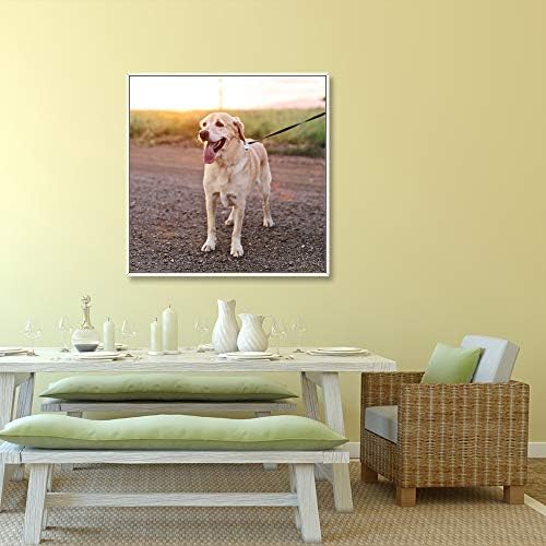 NWT Custom Framed Canvas Prints with Your Photo for Pets, Personalized Canvas Wall Art for Living Room, Bedroom - 16x16 inches
