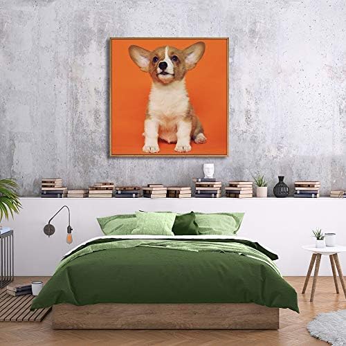 NWT Custom Framed Canvas Prints with Your Photo for Pets, Personalized Canvas Wall Art for Living Room, Bedroom - 24x24 inches