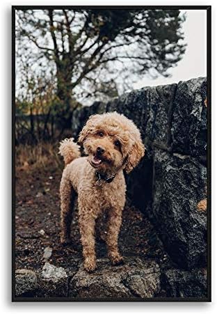 NWT Custom Framed Canvas Prints with Your Photo for Pets, Personalized Canvas Wall Art for Living Room, Bedroom - 16x24 inches