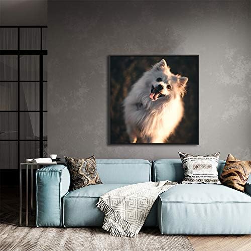 NWT Custom Framed Canvas Prints with Your Photo for Pets, Personalized Canvas Wall Art for Living Room, Bedroom - 16x16 inches
