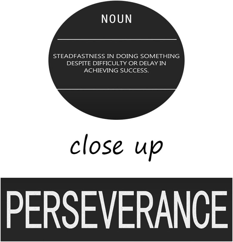 Perseverance Noun Posters Motivational Wall Art Inspirational Prints On Canvas Inspirational Painting Artwork Modern Inspiring Office Living Room Gym Decor Framed Ready to Hang[18" W x 24" H]
