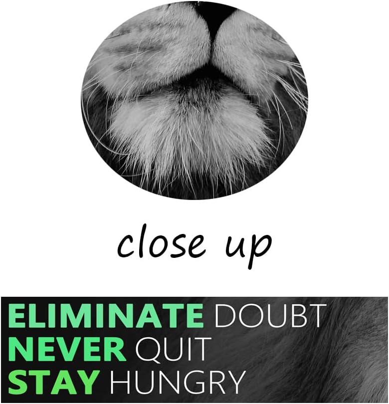 Motivational Poster for Office Lion Inspirational Canvas Wall Art Lion Inspiring Canvas Prints Artwork for Living Room Modern Home Decor Painting Stretched and Framed Ready to Hang [36''Wx 24''H]