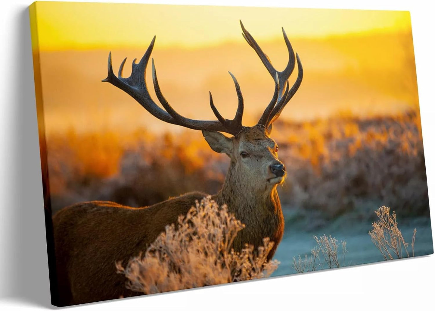 Personalized Custom Canvas Prints: 12L x 18W Photo On Canva Transform Your Photos into Stunning Framed Wall Art Digitally Printed (12L x 18W, Framed)