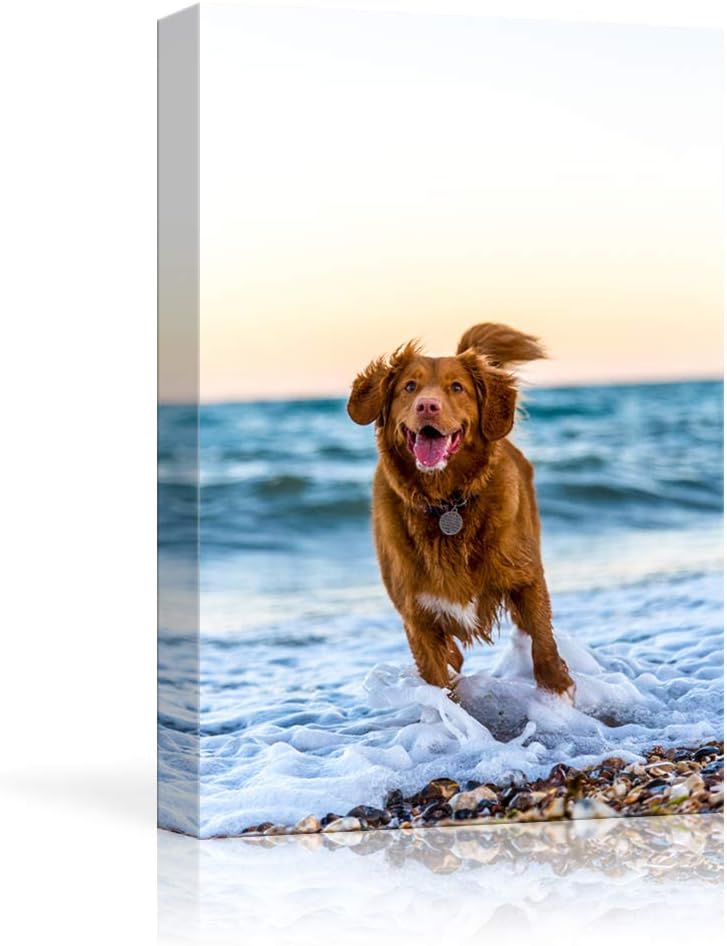 NWT Custom Canvas Prints with Your Photos for Pet/Animal, Personalized Canvas Pictures for Wall to Print Framed 24x16 inches