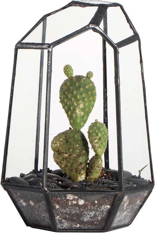 NCYP Small Geometric Terrarium - 4.1" x 3.5" x 5.9" Miniature Irregular Glass Terrarium Planter for Succulent Air Plants - Tabletop Garden Display Container, Black (No Plants, No Door)