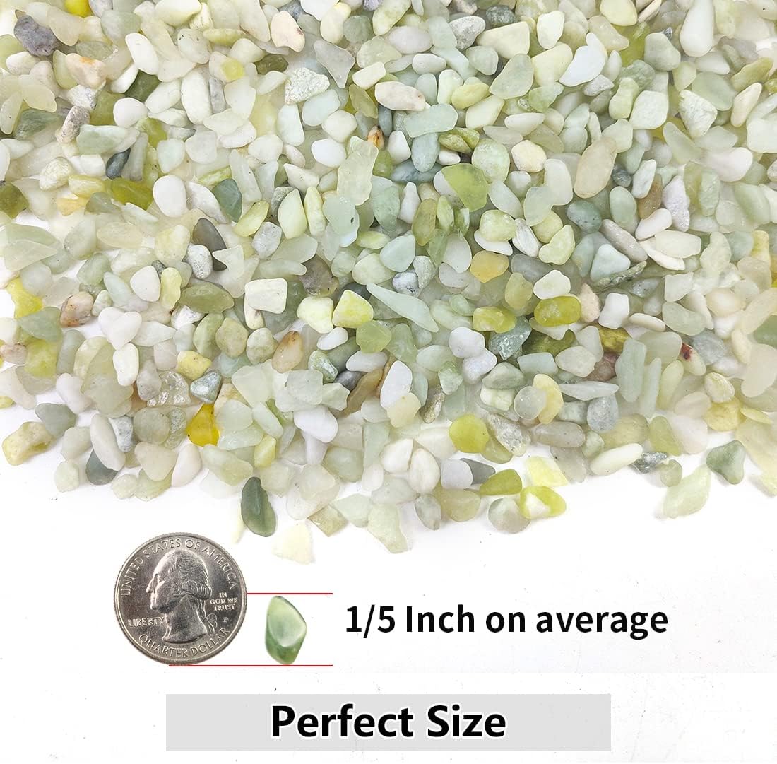 5LB Succulent and Cactus Pebbles, 1/5 Inch Jade Natural Decorative Polished Stones, River Rocks for Plants, Vases and Outdoor Gardening
