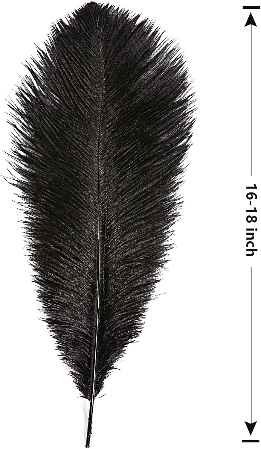 THARAHT Black Ostrich Feathers 12pcs Large Natural Bulk 16-18Inch 40cm-45cm for Wedding Party Centerpieces Halloween and Home Decoration Feathers