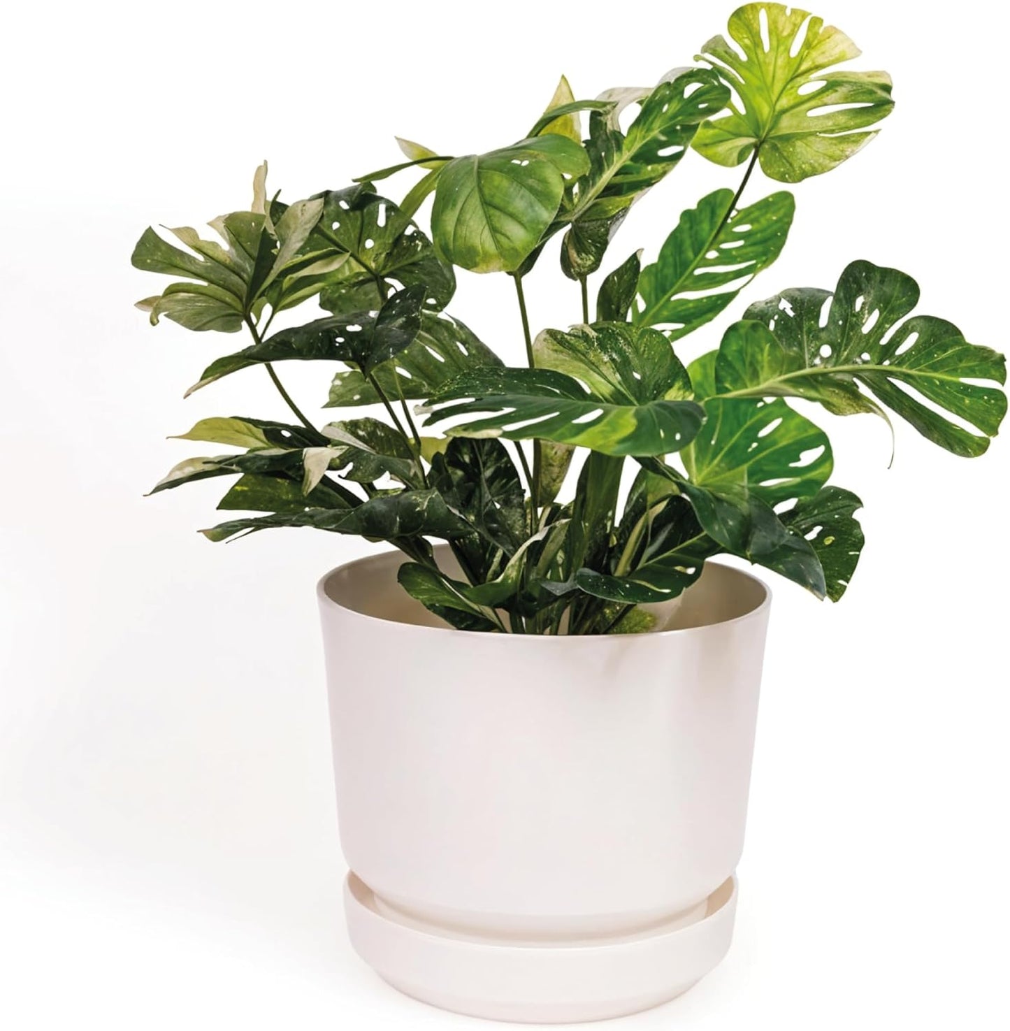 Elly Décor 10 inch Plastic Cylinder Planter Pot with Self-Watering Saucer and Drainage Hole,Lightweight & Extremely Durable, 10"x 10", White