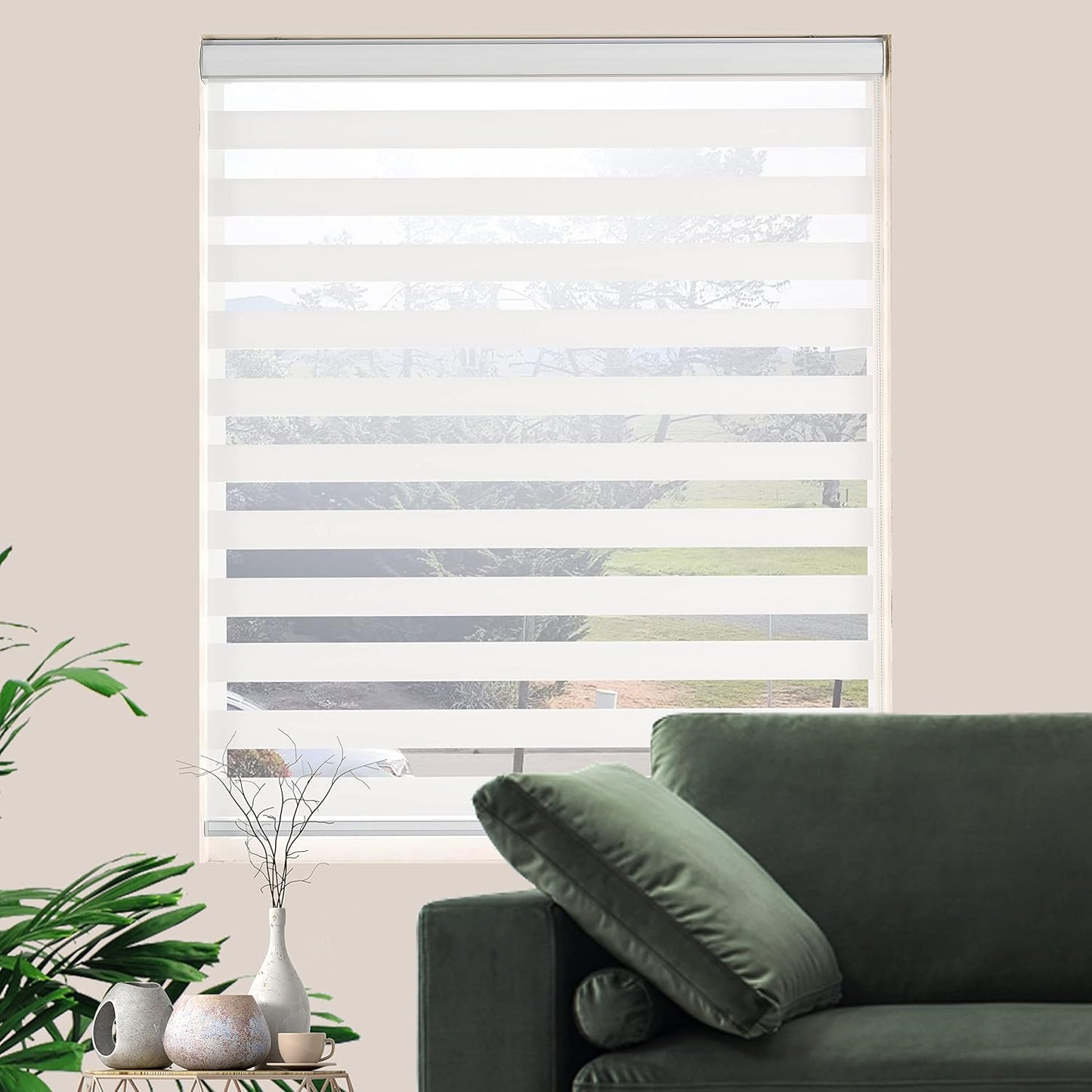 Zebra Roller Shades, Dual Layer Roll Up Blind for Living Room, Semi Sheer Shades Window Privacy Light Control for Day and Night, (Maximum Height 72inch, White Color, Width 25 inch)