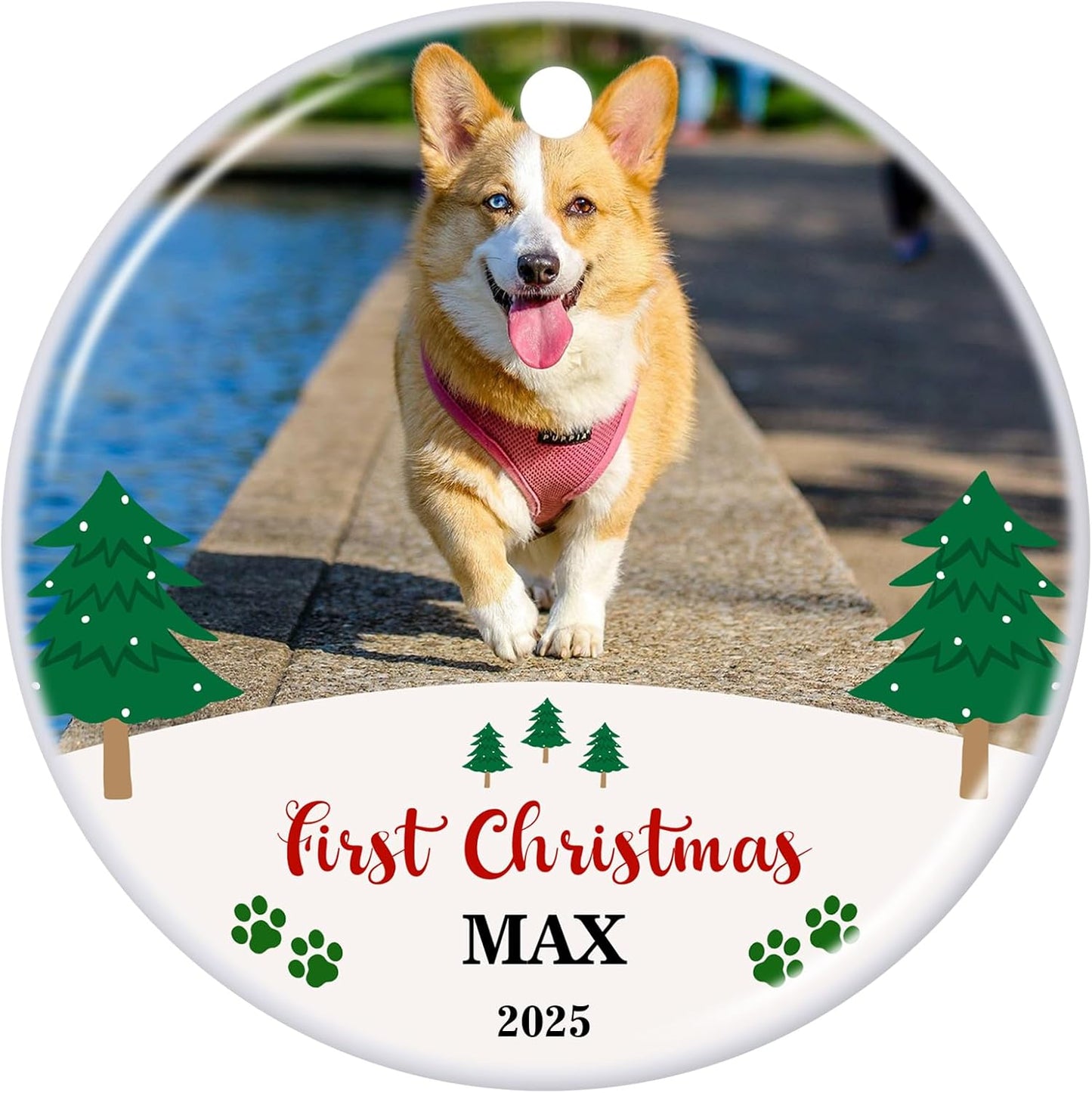 Personalized Christmas Ornament 2025 Custom Pet Memorial Gifts Photo Ornament Dog Cat First Christmas Ornaments Customized Xmas Tree Decorations Keepsake Gift for Dog Lovers, Pet Lovers