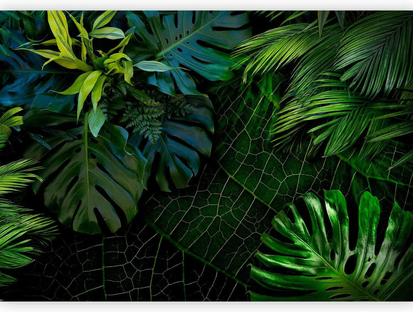 artgeist Wall Mural Tropical 79x55 in - XXL Non-Woven Wallpaper Fleece Wall Decor Photo Print Picture Image Design Home b-C-0224-a-a