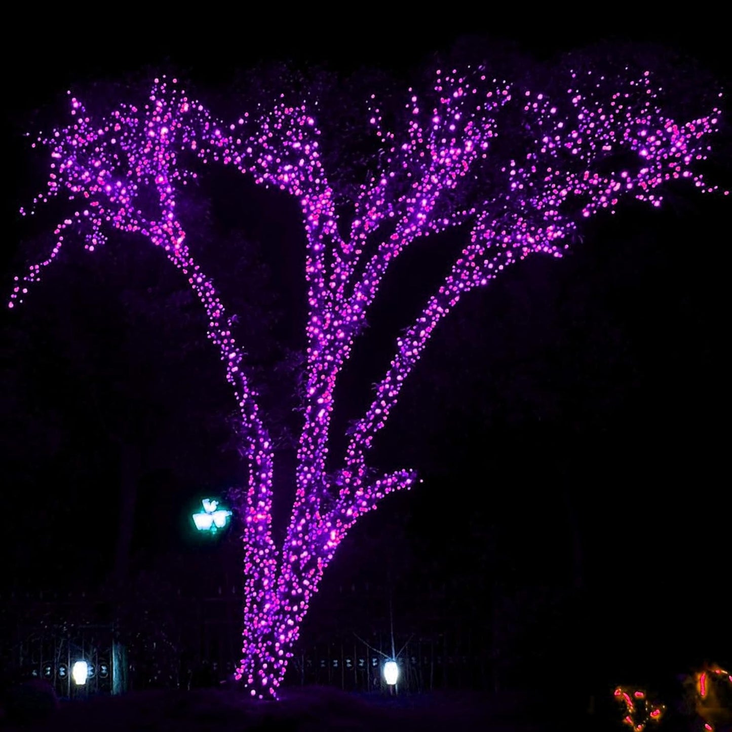 DAZZLE BRIGHT Halloween 300 LED String Lights, 100FT Connectable String Lights with 8 Lighting Modes, Halloween Decorations for Party Carnival Supplies, Indoor Outdoor Yard Garden Decor (Purple)