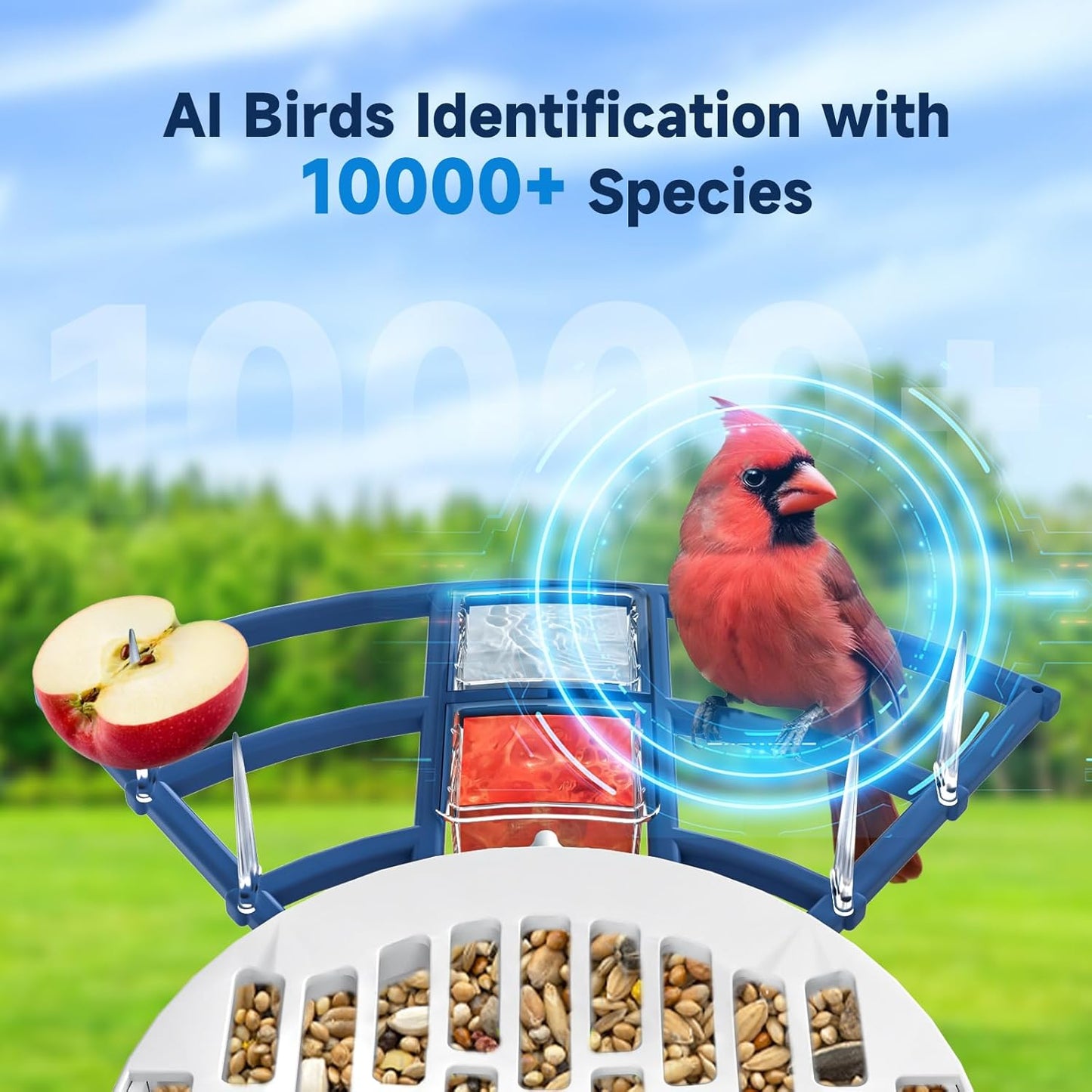 Bird Feeder with Camera Bird Feeders for Outdoors with Solar Panel, AI Identification, Ideal Gift for Lovers Friends and Parents, Navy Blue