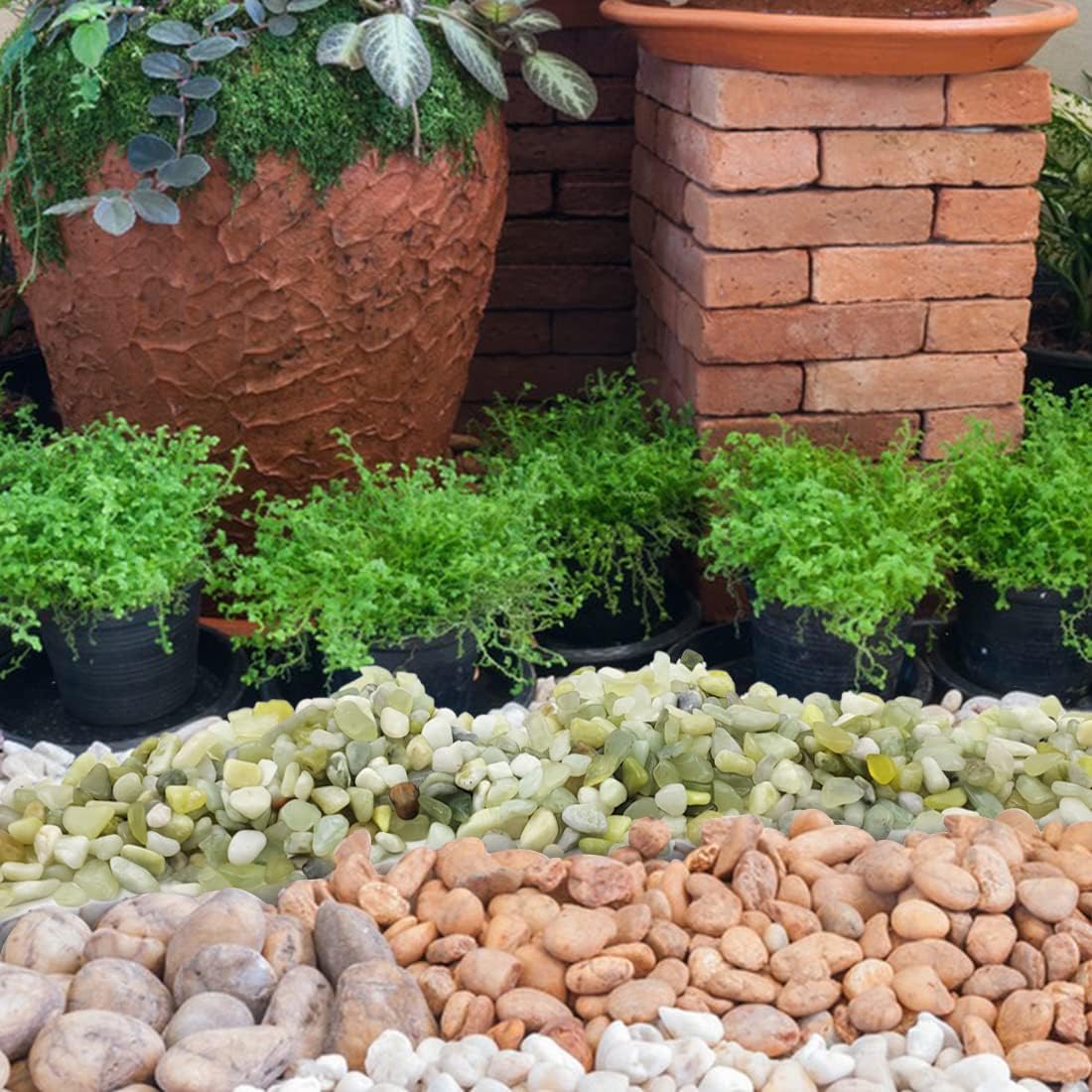 5LB Succulent and Cactus Pebbles, 1/5 Inch Jade Natural Decorative Polished Stones, River Rocks for Plants, Vases and Outdoor Gardening