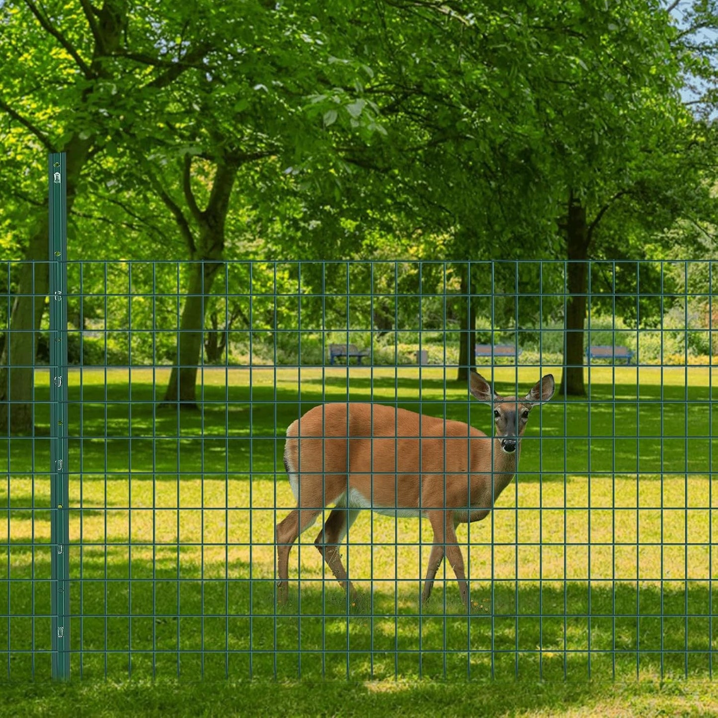 Welded Wire Fence, 50ft(L) x 48inch(H) Garden Fence for Dog, 2 Inch x 3 Inch 16GA Fencing for Chicken, PVC Coated Anti-Rust Roll Metal Wire Mesh Fence for Yard Vegetable, Green