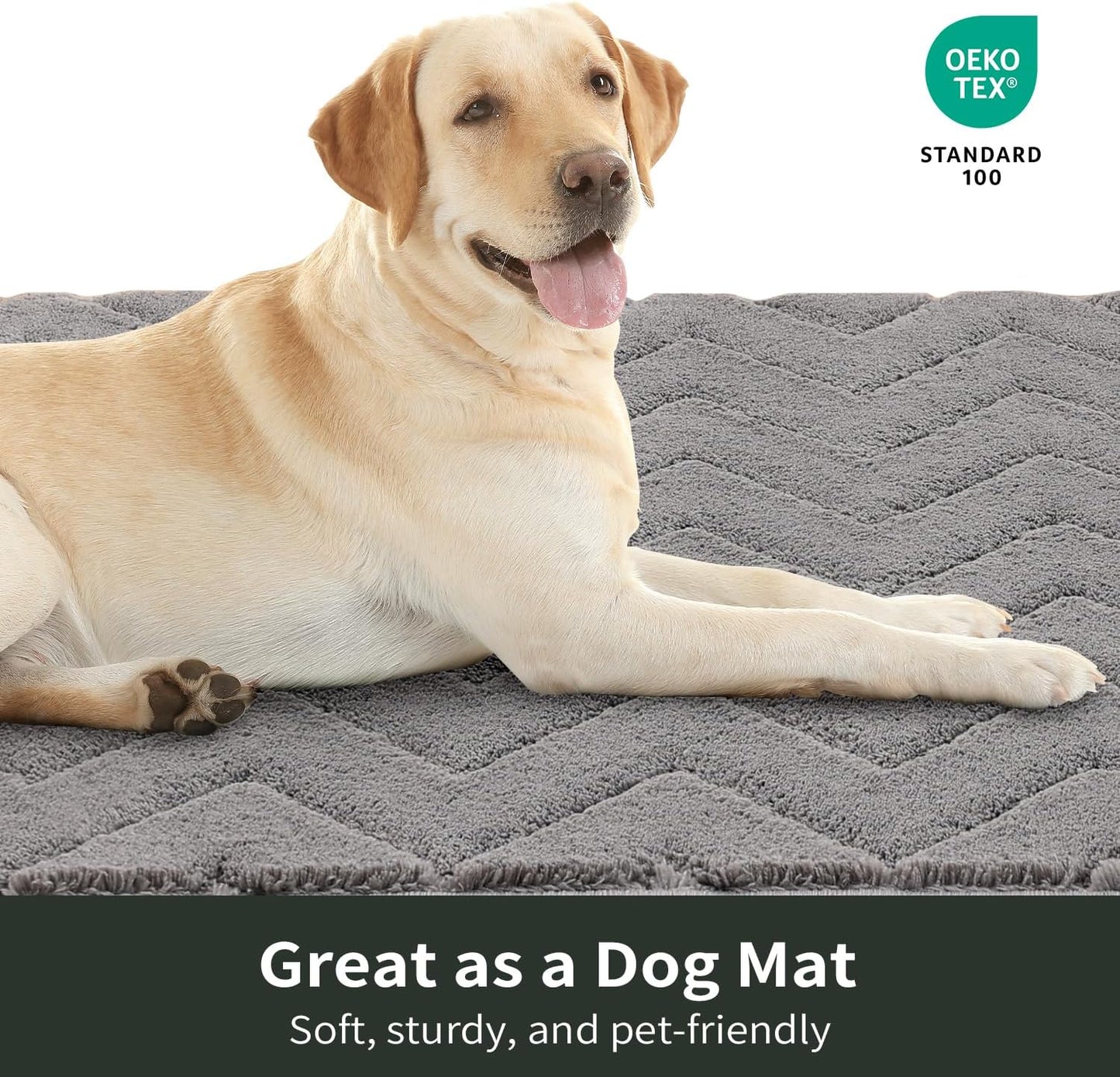 Stiio Front Door Mat Indoor Outdoor Entrance, Absorbent Muddy Dirt Resist Doormat, Low Profile Washable Fade Resistant Entryway Mat for Entry Patio Porch, 24x35.5 Inches Grey