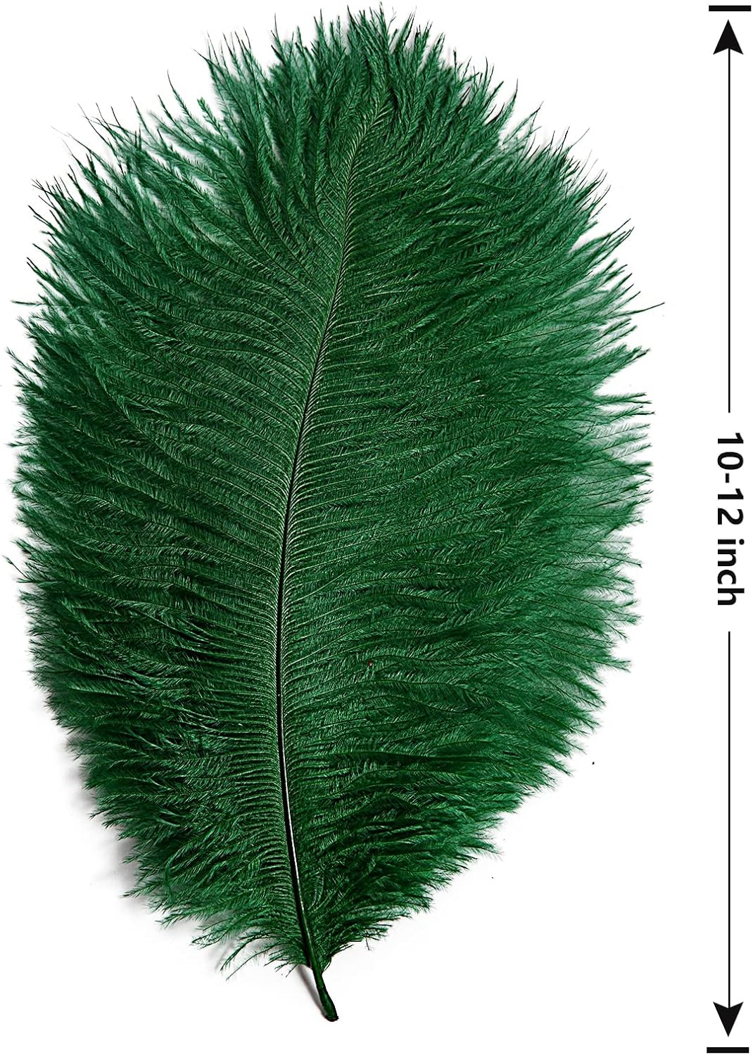 THARAHT 24pcs Ostrich Feathers Natural Bulk 10-12Inch 25cm-30cm for Wedding Party Centerpieces Easter Gatsby Flower Arrangement and Home Decorate Ostrich Feathers,Cyan