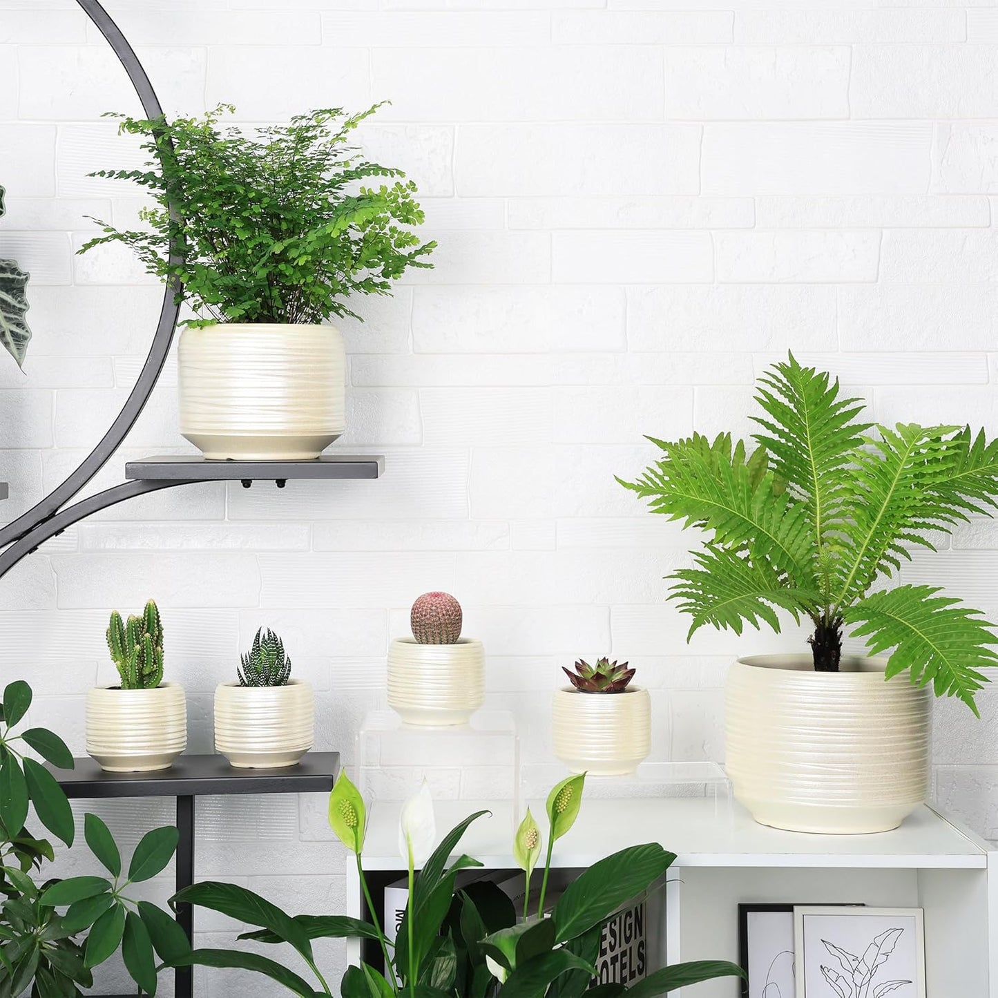 8 Inch + 6 Inch Ceramic Plant Pots Indoor with Drainage – Flower Pot Set, Decorative Indoor Planters for House Plants and Garden Use