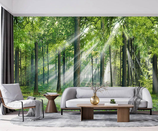 -Sunshine Forest Living Room Wallpaper XT24 S 100" x 65"