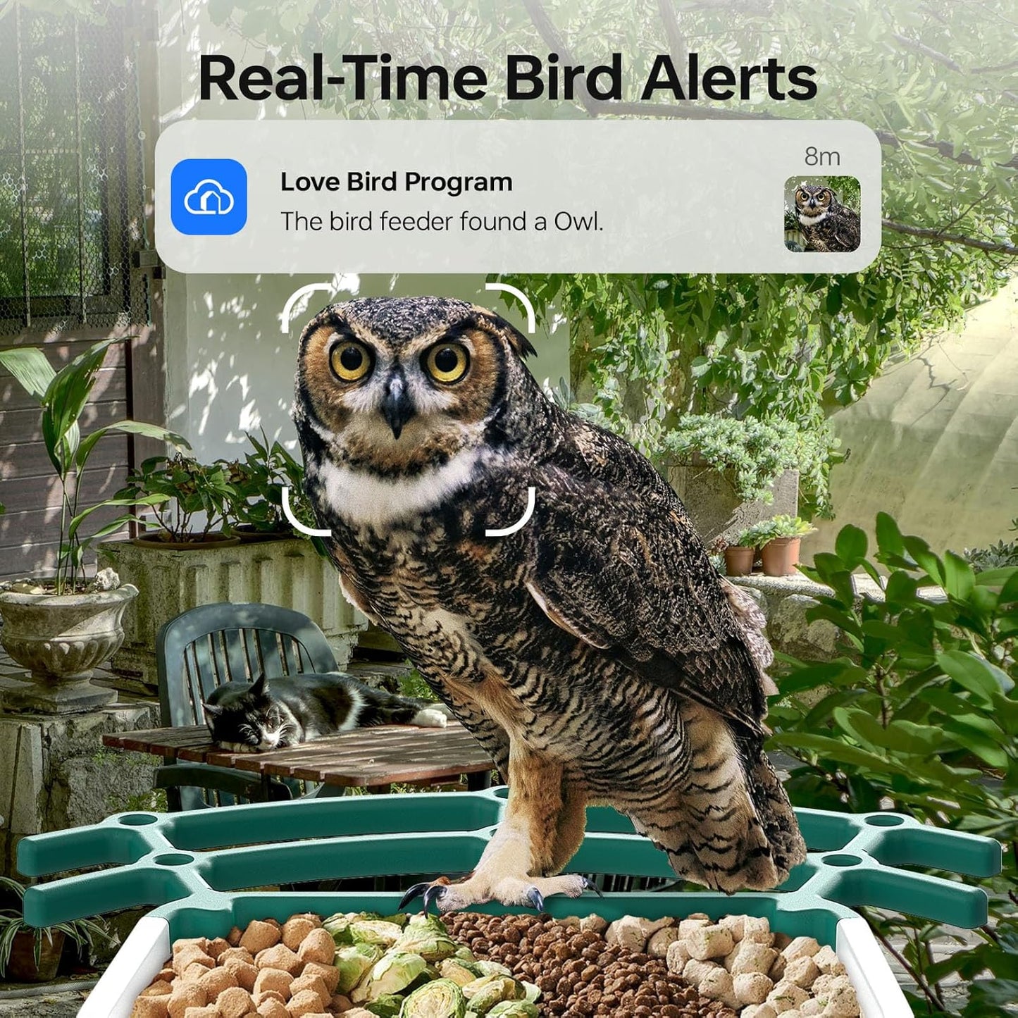 Bird Feeders for Outdoors, Smart Bird Feeder with Camera Solar Powered, AI Species Identification, 3K Video Live Stream Camera, 5Mp HD Night Vision, Instant Arrival Alerts (Light Green)