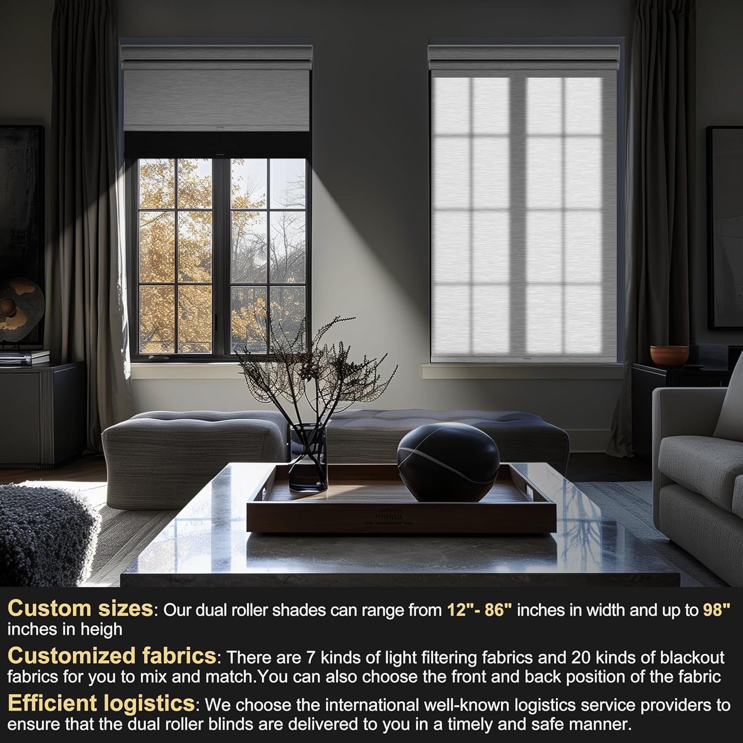 BERISSA Cordless Dual Roller Shades With Cassette Valance, Blackout and Light Filtering, Day and Night for Home Office Door - Linen Black and White, 30 W x 72" H