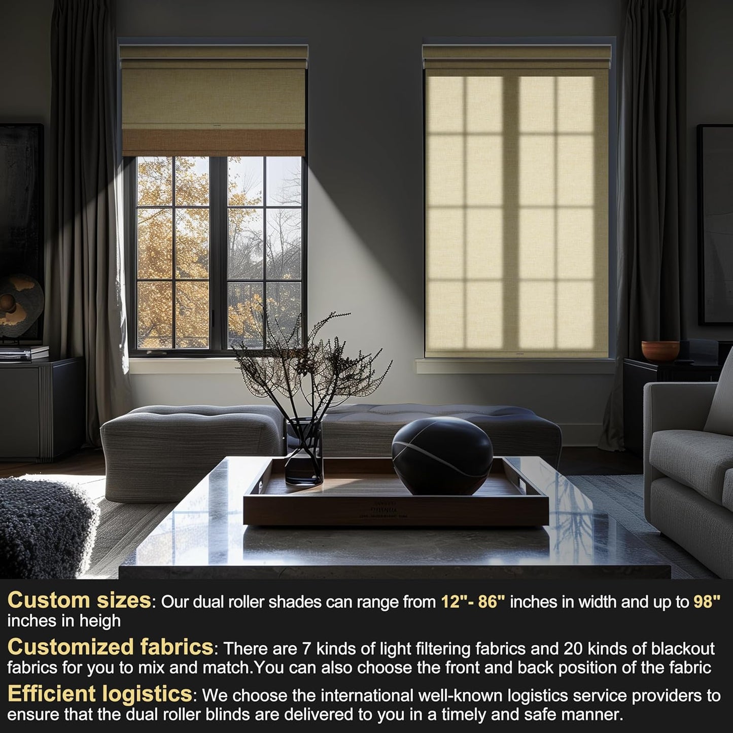 BERISSA Cordless Dual Roller Shades With Cassette Valance, Blackout and Light Filtering, Day and Night for Home Office Door - Linen Beige, 62 W x 64" H