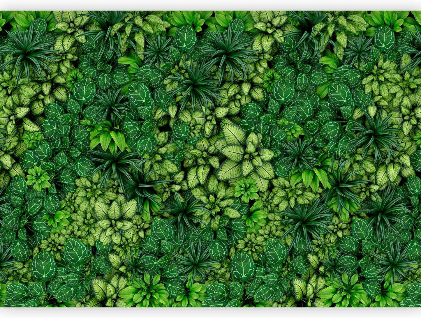 artgeist Premium Wall Mural Plants 138x101 in - XXL Non-Woven Wallpaper Fleece Wall Decor Photo Print Picture Image Design Nature Botanics Tropical Leaves b-B-0601-a-a