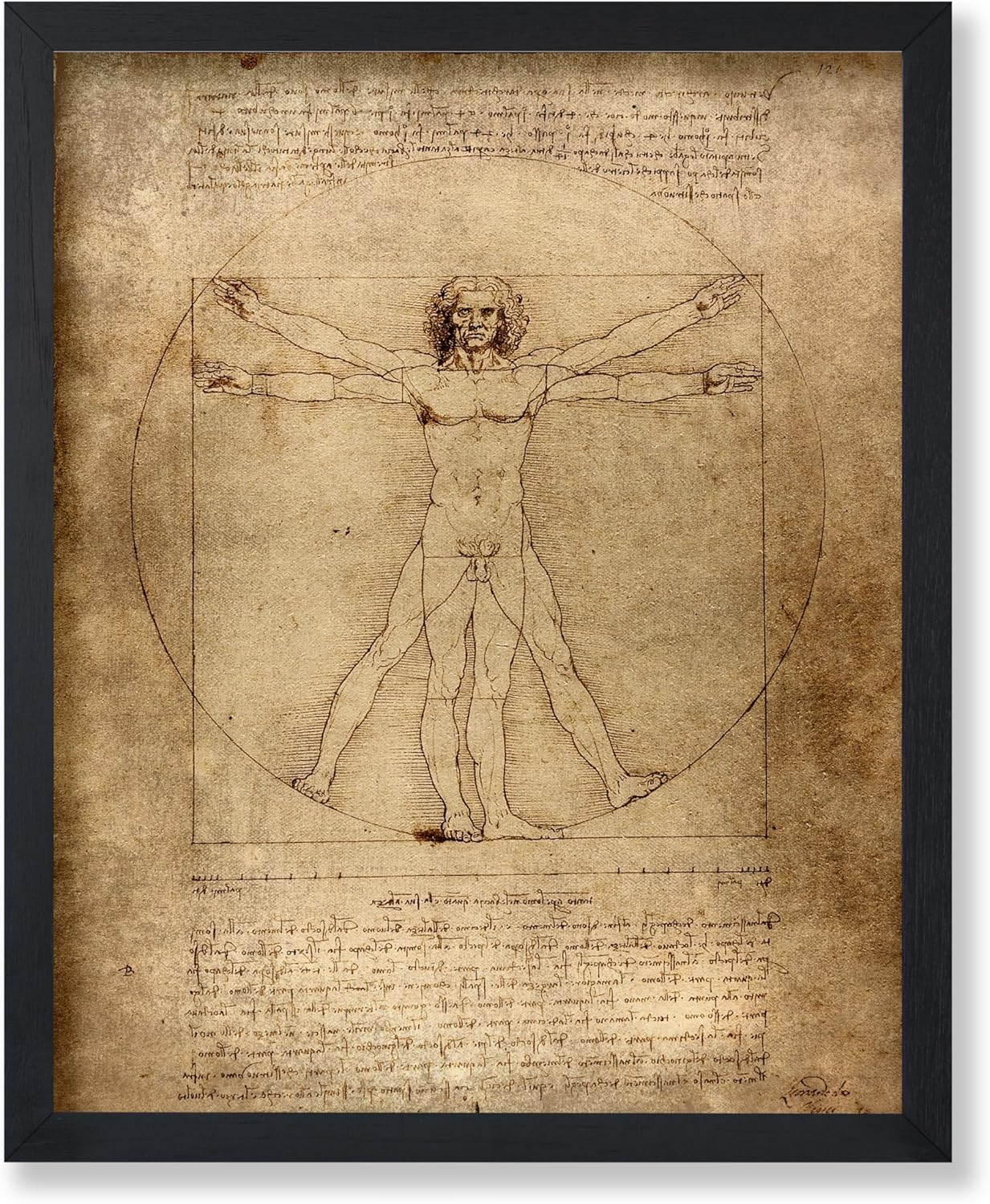 Poster Master Vintage Leonardo Da Vinci Poster - Retro Vitruvian Man Print - Drawing Art - Renaissance Art - Gift for Men & Women - Decor for Living Room, Bedroom or Office - 16x20 UNFRAMED Wall Art