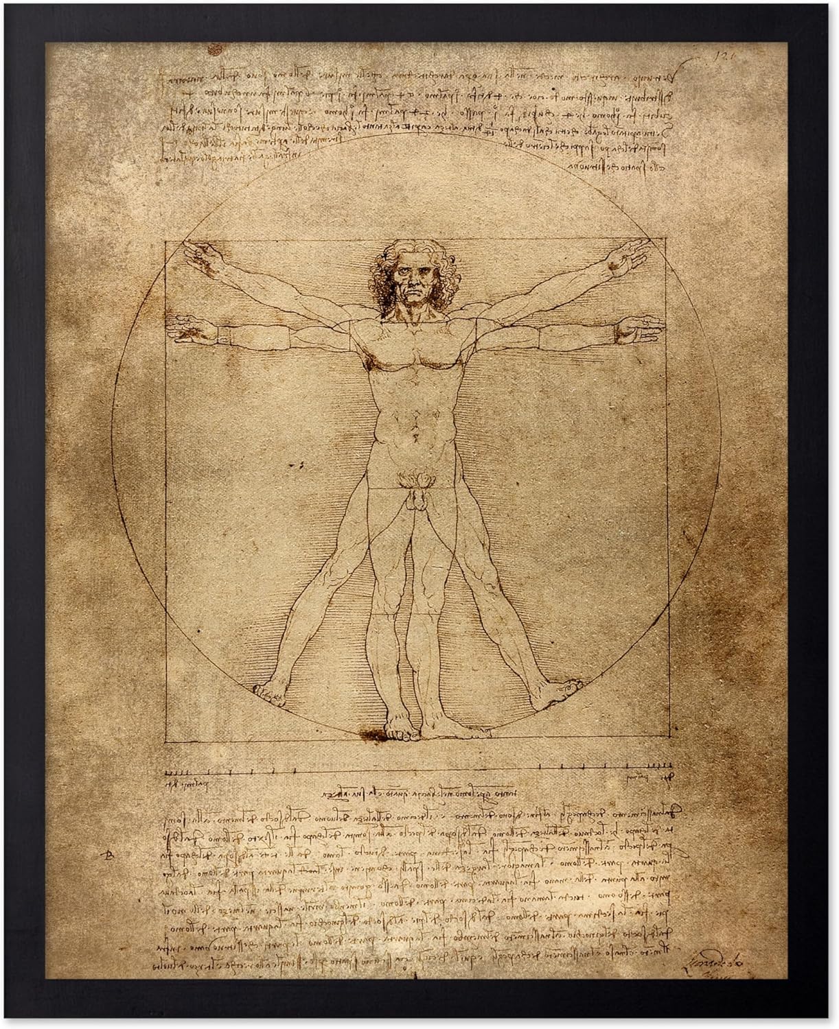 Poster Master Classic Leonardo Da Vinci Poster - Vintage Renaissance Print - Gift for Artist, Friend - Vitruvian Man, Proportion, Symmetry, Human Body - Wall Decor for Office, 11x14 Black Framed