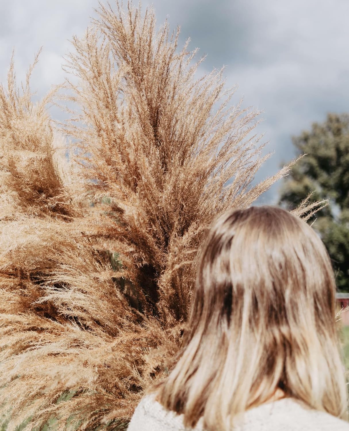 40" inch 10 Stems Pampas Grass Decor Tall, Pampas Grass Bouquet, Natural Dried Flowers for Wedding, Natural Home Decor, Wall Grass, Glam Decor